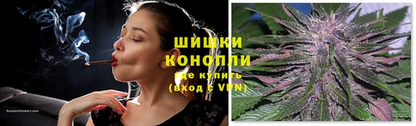 трава Аркадак