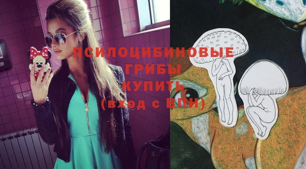 Альфа ПВП Балабаново