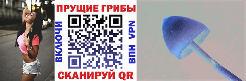 Галлюциногенные грибы Psilocybine cubensis Мамадыш
