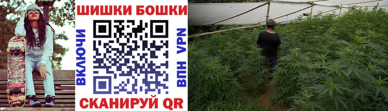 маркетплейс наркотические препараты  Мамадыш  Шишки марихуана AK-47 